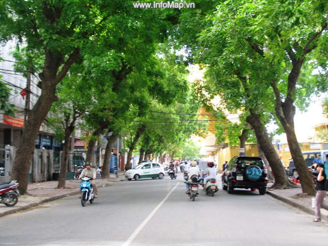 Phố Trịnh Hoài Đức, Quận Đống Đa, Hà Nội